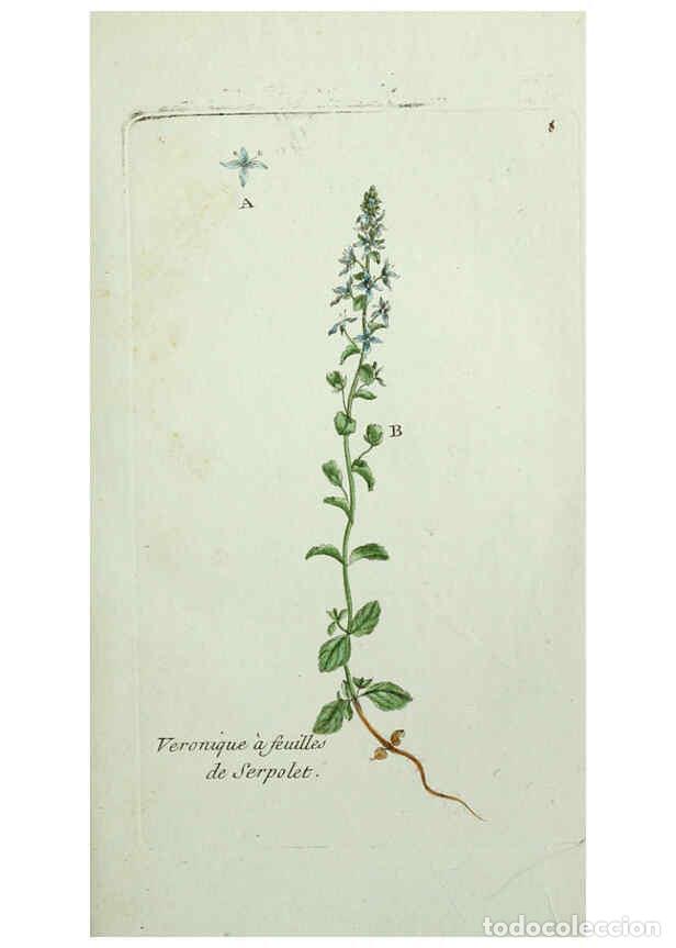 Colecionismo de Revistas e Jornais: Reproducci&oacute;n/Reproduction 6055468993: Flora Parisiensis. v.1. Paris,P.F. Didot,1776-1783 - Pierre Bu
