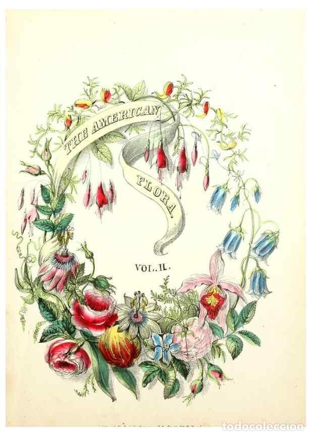Collection Magazines and Newspapers: Reproducci&oacute;n/Reproduction 8079579347: The American flora :. New York :Hull & Spencer,1855. - Strong,