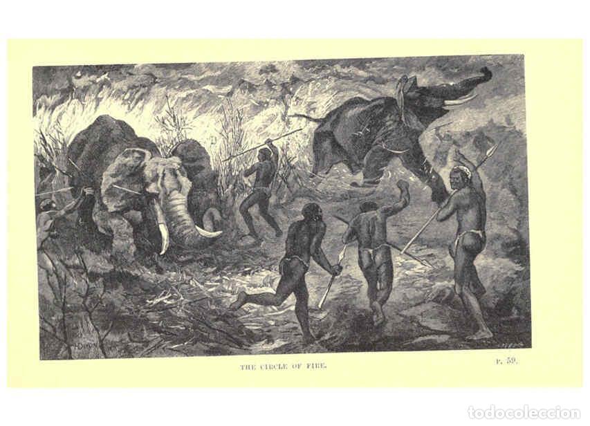 Coleccionismo de Revistas y Peri&oacute;dicos: Reproducci&oacute;n/Reproduction 6505681073: Wild beasts and their ways London,Macmillan and co.,1890 - Sam