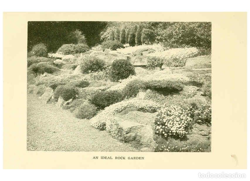 Sammeln von Zeitschriften und Zeitungen: Reproducci&oacute;n/Reproduction 6465781105: The book of hardy flowers New York,Funk & Wagnalls company; [e