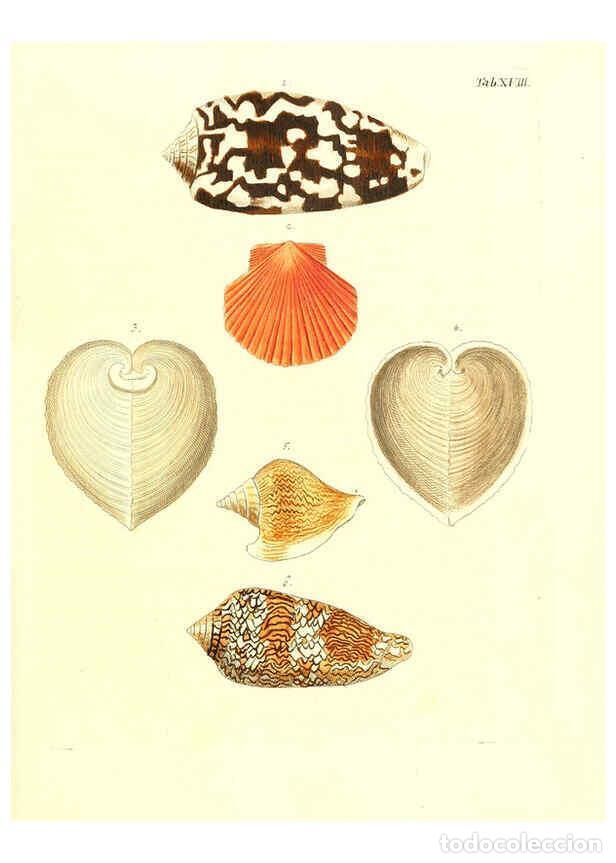 Collection Magazines and Newspapers: Reproducci&oacute;n/Reproduction 6032328652: Les delices des yeux et de l'esprit. v.1 ptie 1-3. [Nuremberg