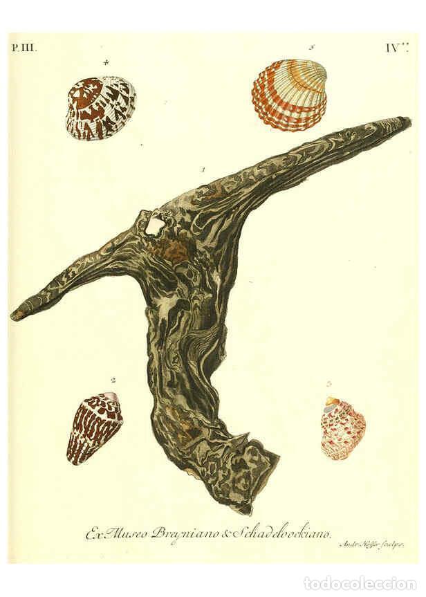 Collection Magazines and Newspapers: Reproducci&oacute;n/Reproduction 6031779969: Les delices des yeux et de l'esprit. v.1 ptie 1-3. [Nuremberg