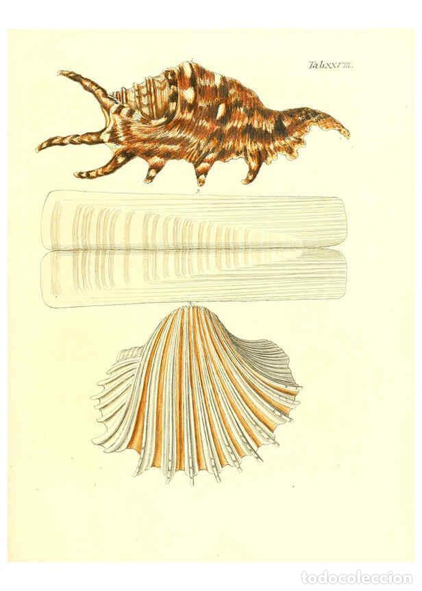 Collection Magazines and Newspapers: Reproducci&oacute;n/Reproduction 6031771971: Les delices des yeux et de l'esprit. v.1 ptie 1-3. [Nuremberg