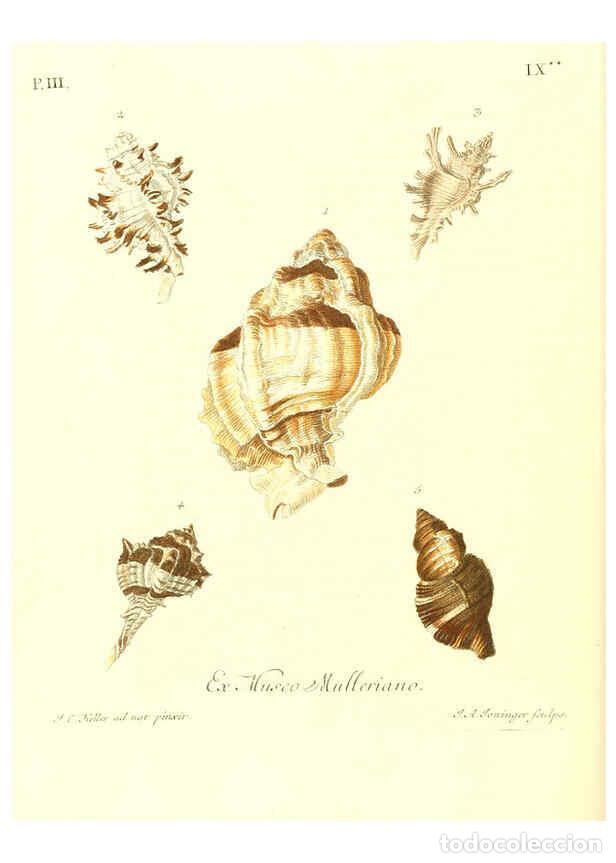 Collection Magazines and Newspapers: Reproducci&oacute;n/Reproduction 6032339806: Les delices des yeux et de l'esprit. v.1 ptie 1-3. [Nuremberg