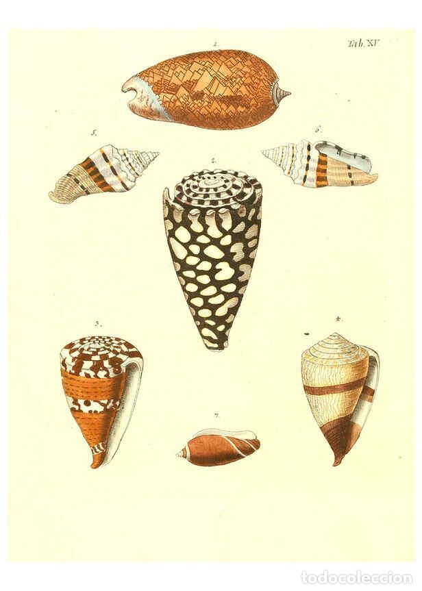 Collection Magazines and Newspapers: Reproducci&oacute;n/Reproduction 6031768993: Les delices des yeux et de l'esprit. v.1 ptie 1-3. [Nuremberg