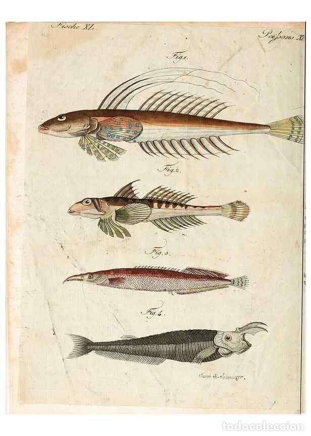 Collection Magazines and Newspapers: Reproducci&oacute;n/Reproduction 7002725143: Porte-feuille instructif et amusant pour la jeunesse :. &Agrave;vienn