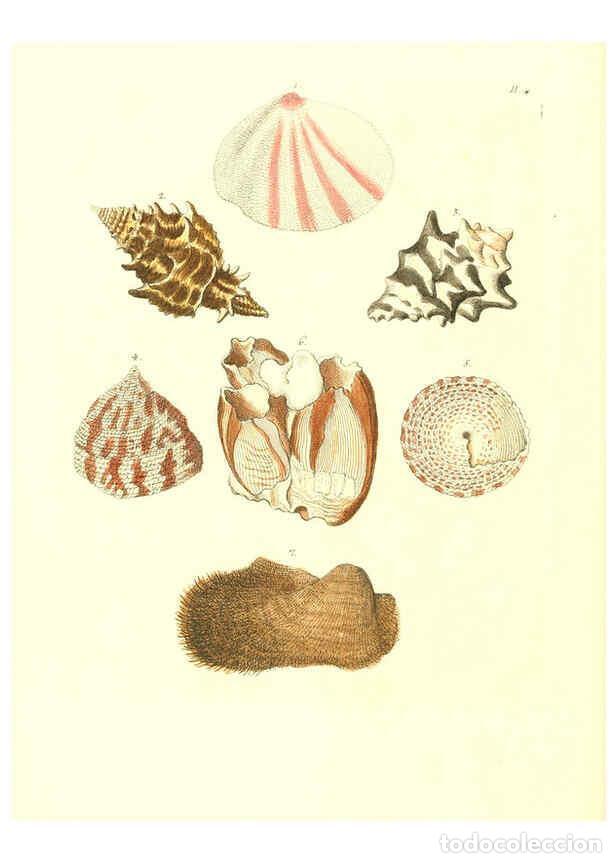 Collection Magazines and Newspapers: Reproducci&oacute;n/Reproduction 6032331918: Les delices des yeux et de l'esprit. v.1 ptie 1-3. [Nuremberg