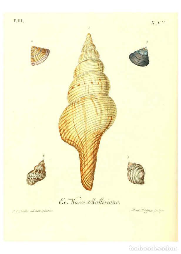 Collection Magazines and Newspapers: Reproducci&oacute;n/Reproduction 6031781991: Les delices des yeux et de l'esprit. v.1 ptie 1-3. [Nuremberg