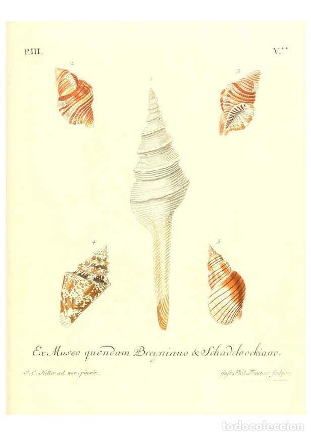 Collection Magazines and Newspapers: Reproducci&oacute;n/Reproduction 6031780111: Les delices des yeux et de l'esprit. v.1 ptie 1-3. [Nuremberg