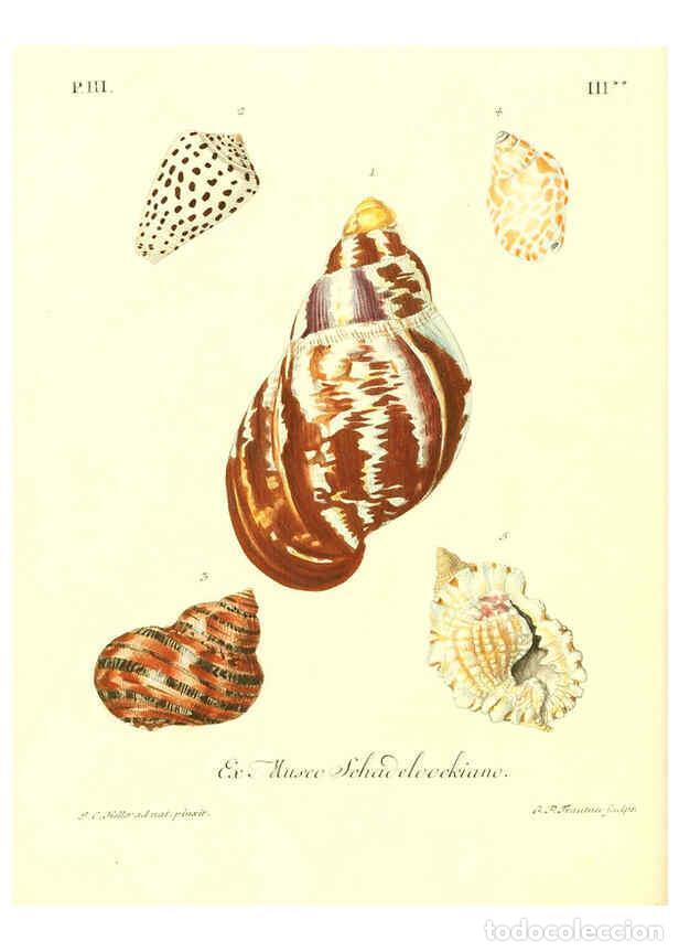 Collection Magazines and Newspapers: Reproducci&oacute;n/Reproduction 6031779755: Les delices des yeux et de l'esprit. v.1 ptie 1-3. [Nuremberg