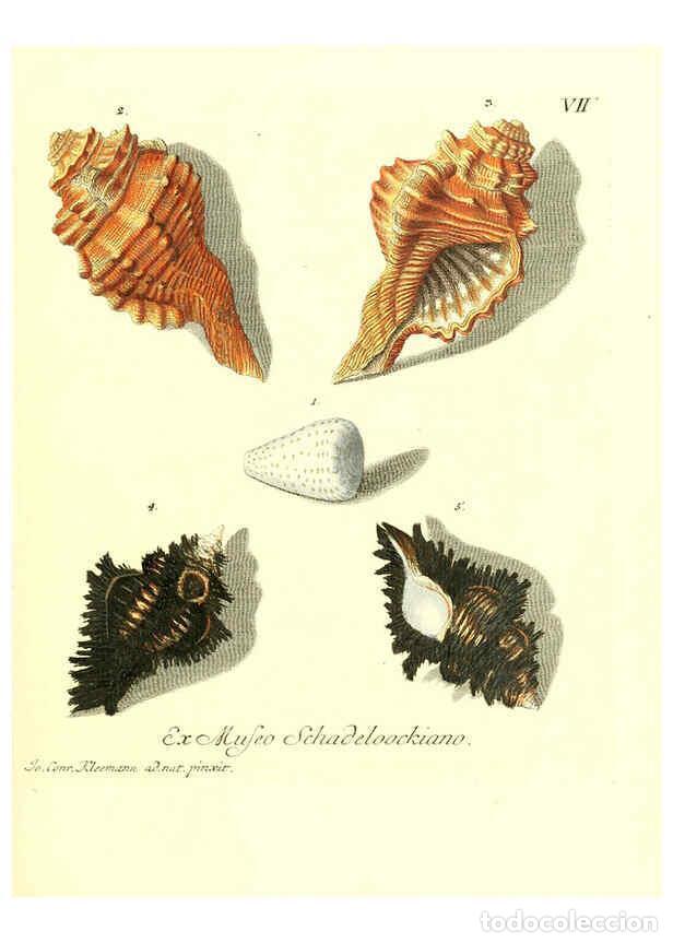 Collection Magazines and Newspapers: Reproducci&oacute;n/Reproduction 6032332910: Les delices des yeux et de l'esprit. v.1 ptie 1-3. [Nuremberg