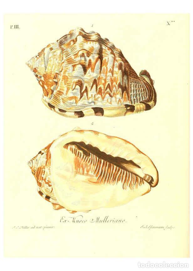 Collection Magazines and Newspapers: Reproducci&oacute;n/Reproduction 6031781175: Les delices des yeux et de l'esprit. v.1 ptie 1-3. [Nuremberg