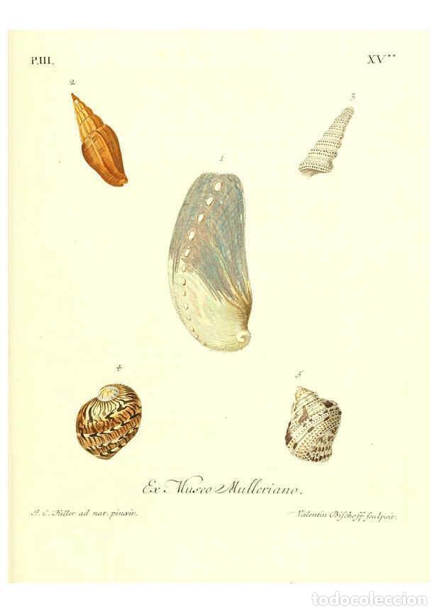 Collectionnisme de Revues et Journaux: Reproducci&oacute;n/Reproduction 6031782199: Les delices des yeux et de l'esprit. v.1 ptie 1-3. [Nuremberg