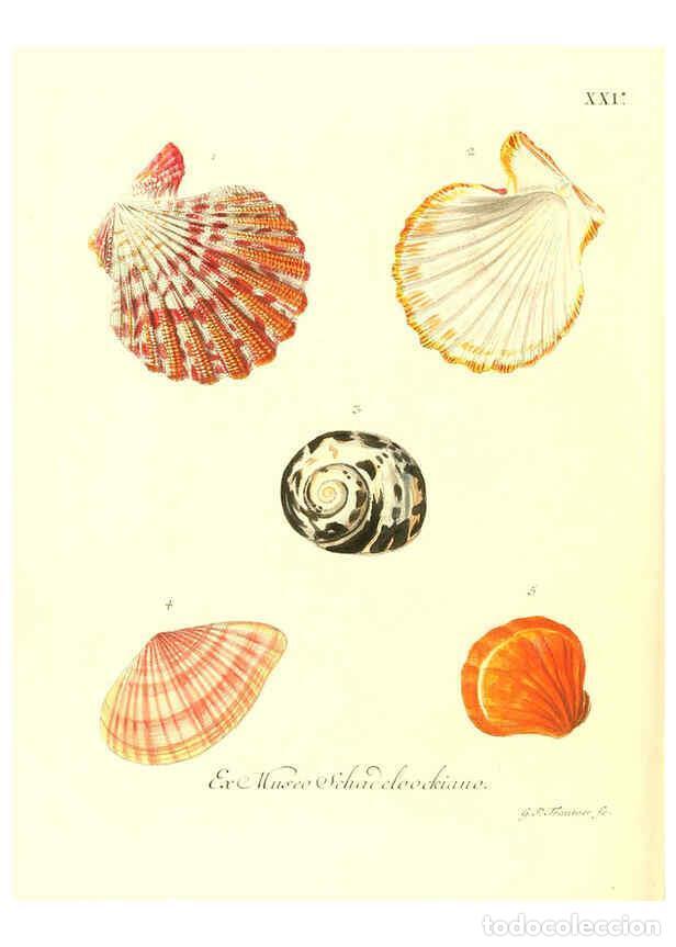 Collectionnisme de Revues et Journaux: Reproducci&oacute;n/Reproduction 6032335768: Les delices des yeux et de l'esprit. v.1 ptie 1-3. [Nuremberg