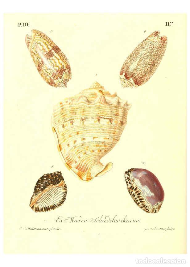 Collectionnisme de Revues et Journaux: Reproducci&oacute;n/Reproduction 6032338398: Les delices des yeux et de l'esprit. v.1 ptie 1-3. [Nuremberg