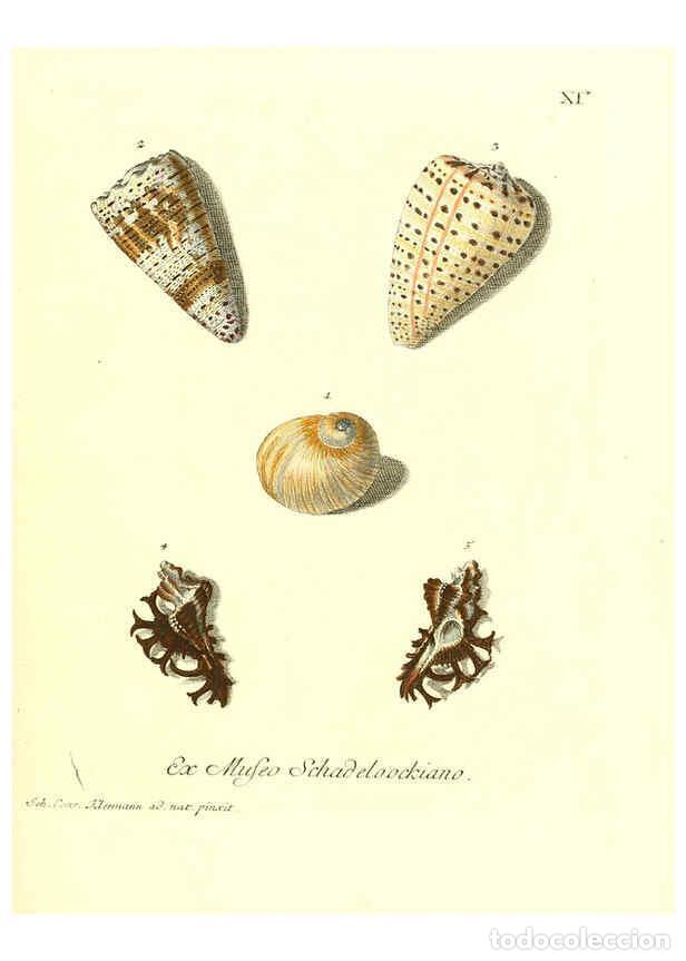 Collectionnisme de Revues et Journaux: Reproducci&oacute;n/Reproduction 6032333724: Les delices des yeux et de l'esprit. v.1 ptie 1-3. [Nuremberg