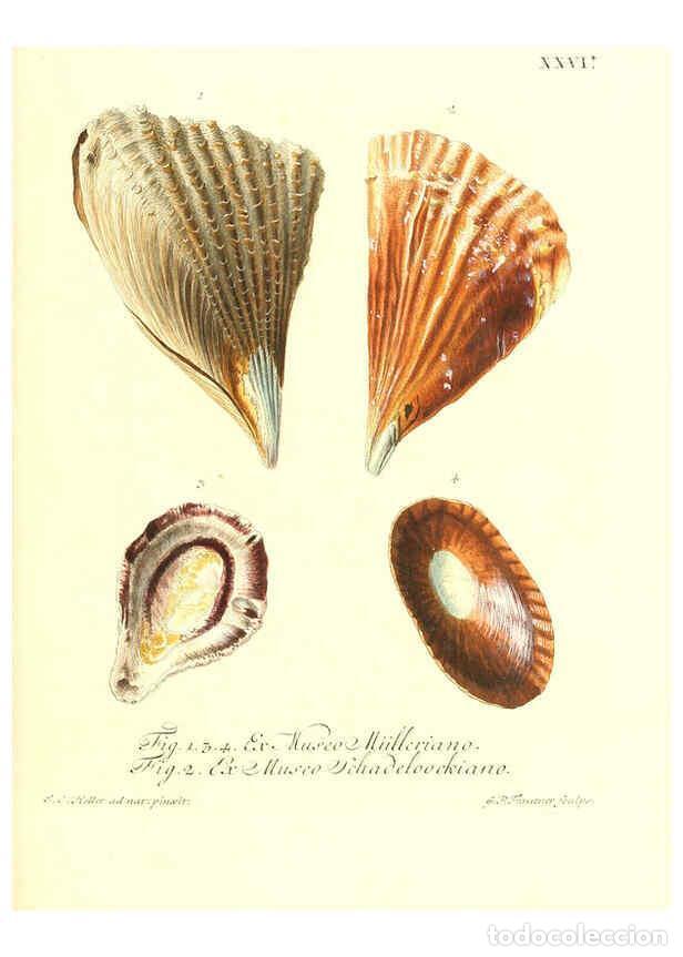 Collectionnisme de Revues et Journaux: Reproducci&oacute;n/Reproduction 6031777961: Les delices des yeux et de l'esprit. v.1 ptie 1-3. [Nuremberg