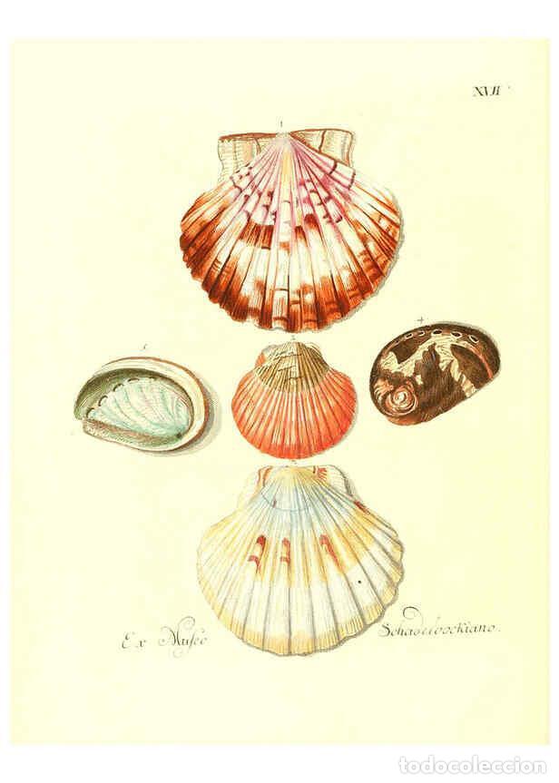 Collectionnisme de Revues et Journaux: Reproducci&oacute;n/Reproduction 6032334780: Les delices des yeux et de l'esprit. v.1 ptie 1-3. [Nuremberg