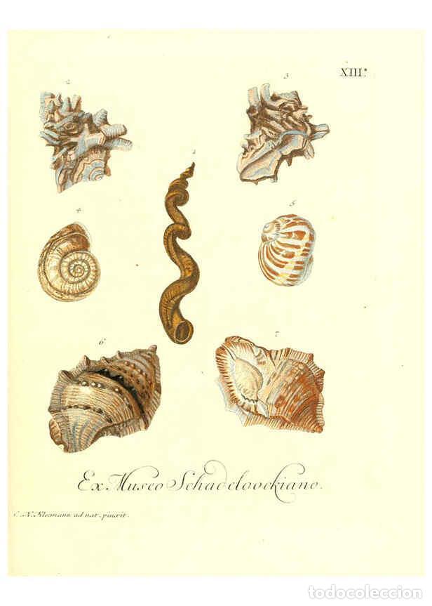 Collectionnisme de Revues et Journaux: Reproducci&oacute;n/Reproduction 6031775213: Les delices des yeux et de l'esprit. v.1 ptie 1-3. [Nuremberg