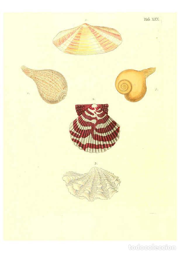 Collectionnisme de Revues et Journaux: Reproducci&oacute;n/Reproduction 6032328838: Les delices des yeux et de l'esprit. v.1 ptie 1-3. [Nuremberg