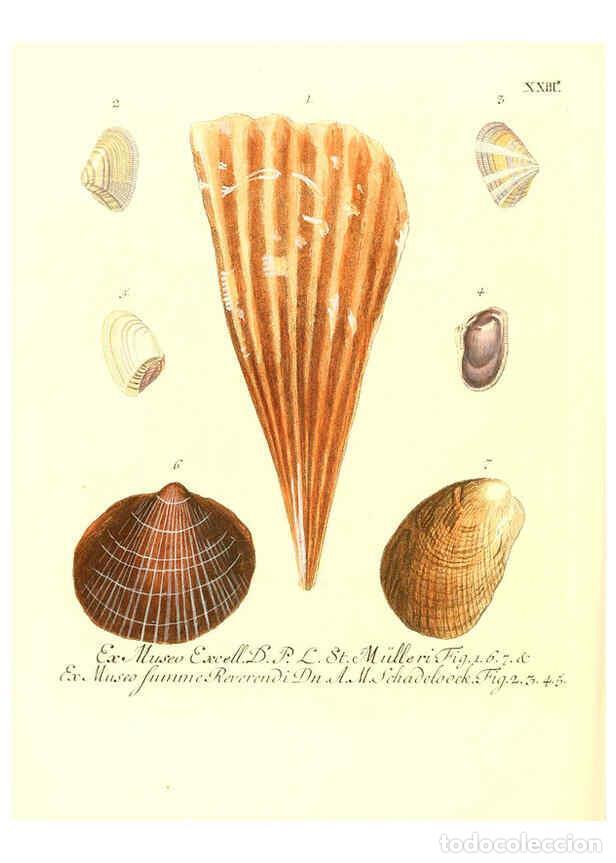 Collectionnisme de Revues et Journaux: Reproducci&oacute;n/Reproduction 6031777319: Les delices des yeux et de l'esprit. v.1 ptie 1-3. [Nuremberg