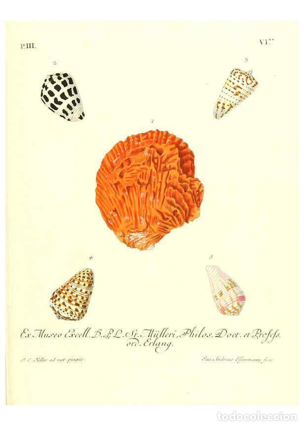 Collectionnisme de Revues et Journaux: Reproducci&oacute;n/Reproduction 6032339230: Les delices des yeux et de l'esprit. v.1 ptie 1-3. [Nuremberg