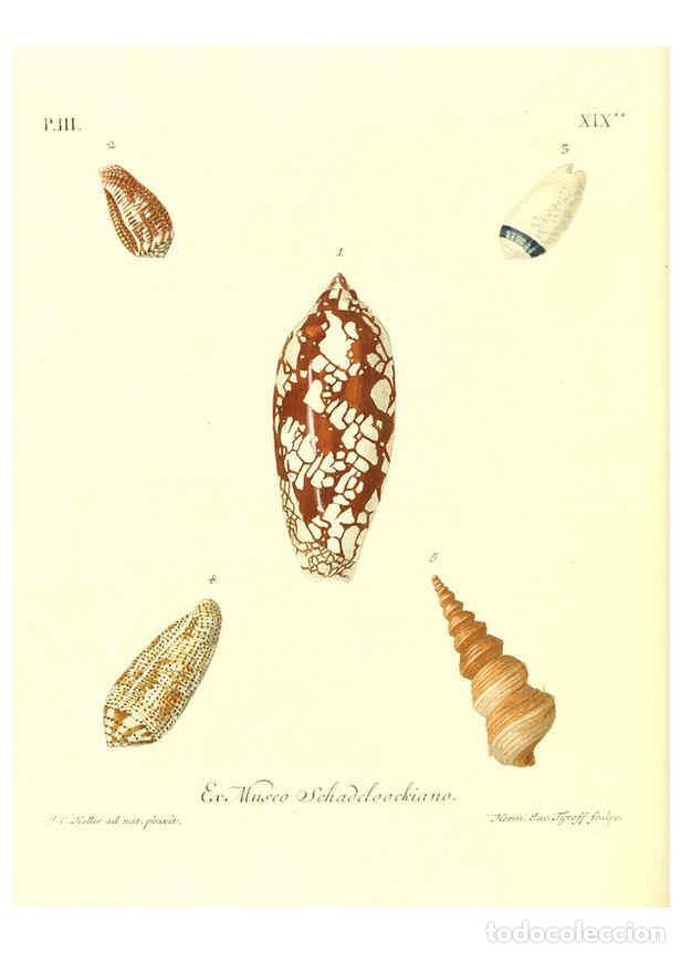 Collectionnisme de Revues et Journaux: Reproducci&oacute;n/Reproduction 6032341816: Les delices des yeux et de l'esprit. v.1 ptie 1-3. [Nuremberg