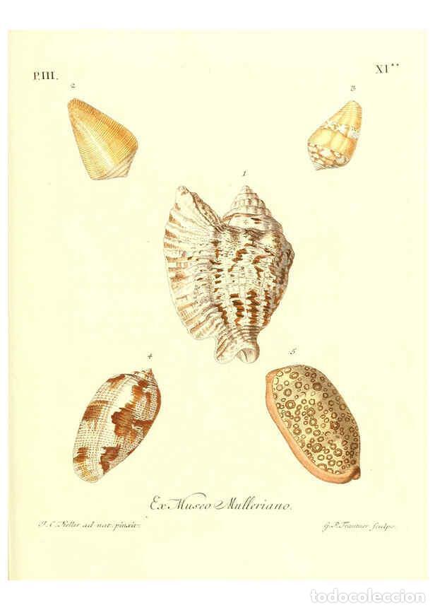 Coleccionismo de Revistas y Peri&oacute;dicos: Reproducci&oacute;n/Reproduction 6031781419: Les delices des yeux et de l'esprit. v.1 ptie 1-3. [Nuremberg