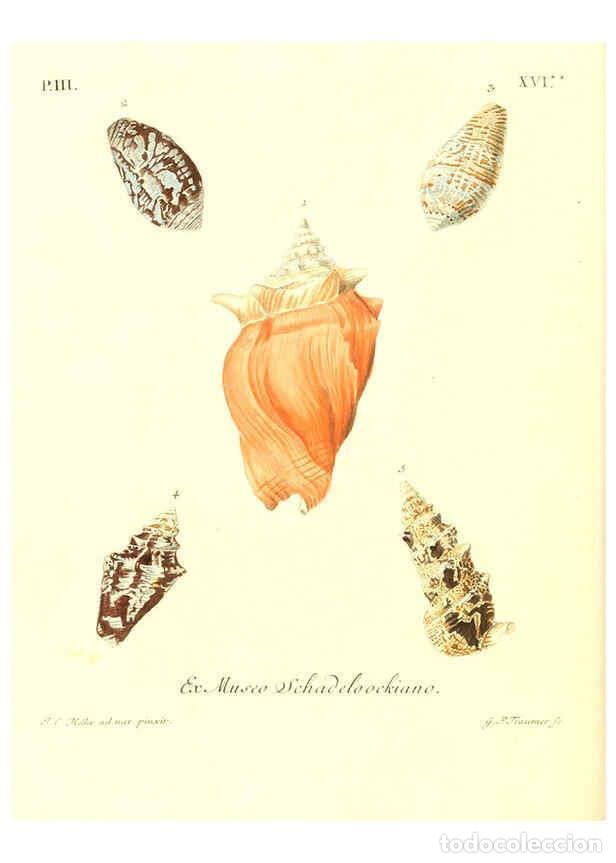 Coleccionismo de Revistas y Peri&oacute;dicos: Reproducci&oacute;n/Reproduction 6031782409: Les delices des yeux et de l'esprit. v.1 ptie 1-3. [Nuremberg