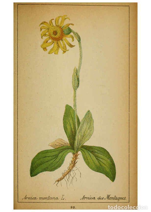 Coleccionismo de Revistas y Peri&oacute;dicos: Reproducci&oacute;n/Reproduction 6032227532: Choix de plantes de l'Europe centrale et particuli&egrave;rement de l
