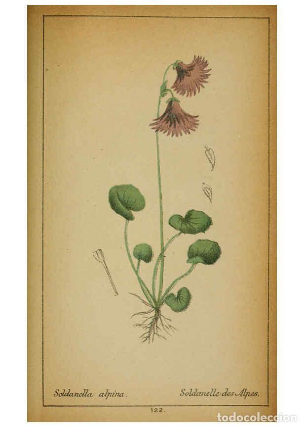 Coleccionismo de Revistas y Peri&oacute;dicos: Reproducci&oacute;n/Reproduction 6032233758: Choix de plantes de l'Europe centrale et particuli&egrave;rement de l