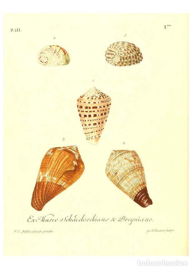 Coleccionismo de Revistas y Peri&oacute;dicos: Reproducci&oacute;n/Reproduction 6032338014: Les delices des yeux et de l'esprit. v.1 ptie 1-3. [Nuremberg