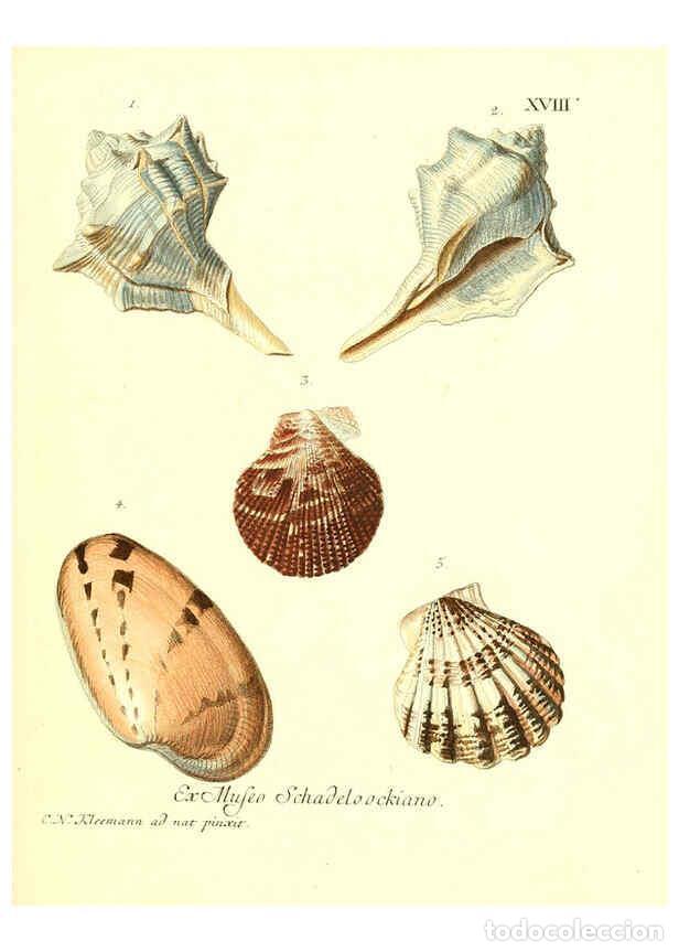 Coleccionismo de Revistas y Peri&oacute;dicos: Reproducci&oacute;n/Reproduction 6032335010: Les delices des yeux et de l'esprit. v.1 ptie 1-3. [Nuremberg