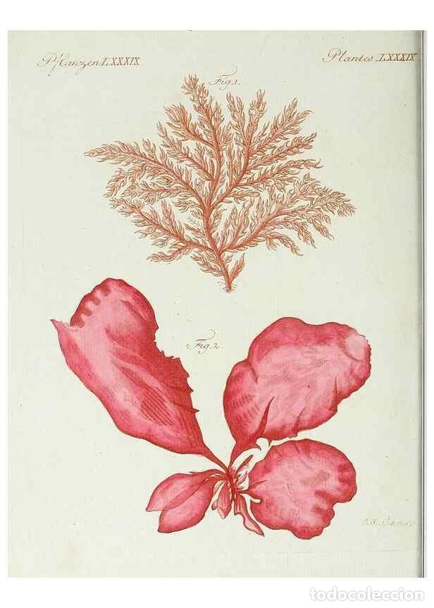 Coleccionismo de Revistas y Peri&oacute;dicos: Reproducci&oacute;n/Reproduction 7002730431: Porte-feuille instructif et amusant pour la jeunesse :. &Agrave;vienn