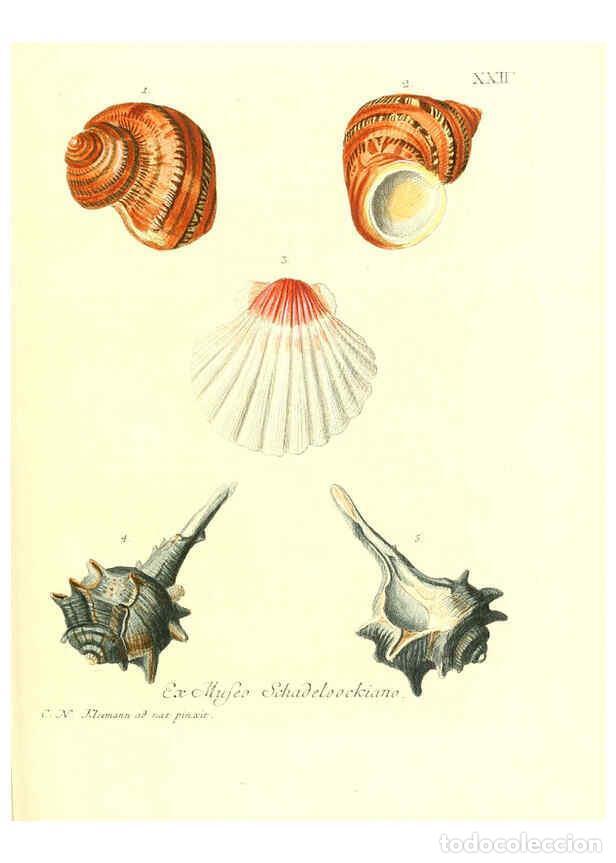 Coleccionismo de Revistas y Peri&oacute;dicos: Reproducci&oacute;n/Reproduction 6032336032: Les delices des yeux et de l'esprit. v.1 ptie 1-3. [Nuremberg