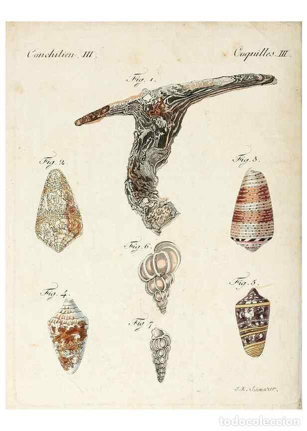 Coleccionismo de Revistas y Peri&oacute;dicos: Reproducci&oacute;n/Reproduction 7002728433: Porte-feuille instructif et amusant pour la jeunesse :. &Agrave;vienn