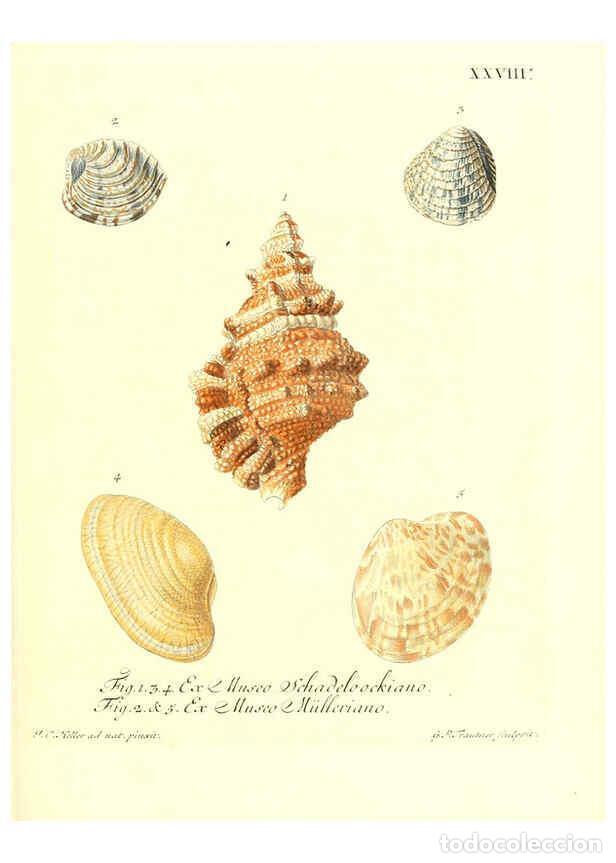 Coleccionismo de Revistas y Peri&oacute;dicos: Reproducci&oacute;n/Reproduction 6031778411: Les delices des yeux et de l'esprit. v.1 ptie 1-3. [Nuremberg