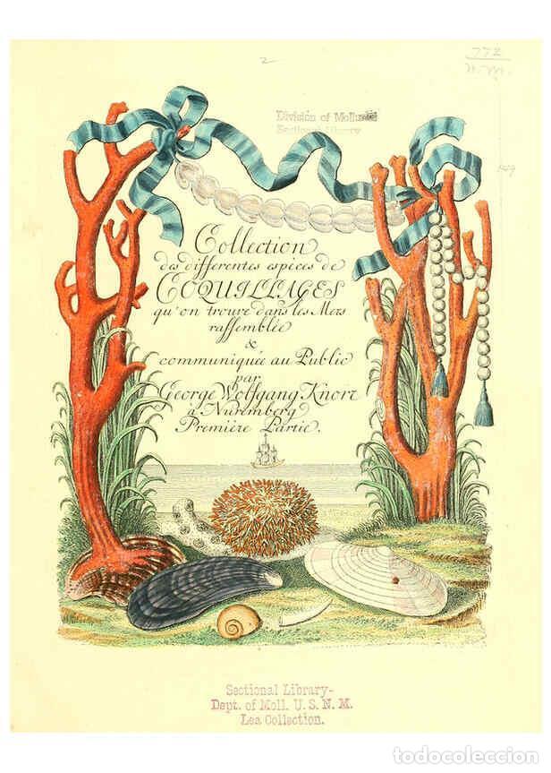 Coleccionismo de Revistas y Peri&oacute;dicos: Reproducci&oacute;n/Reproduction 6032324648: Les delices des yeux et de l'esprit. v.1 ptie 1-3. [Nuremberg