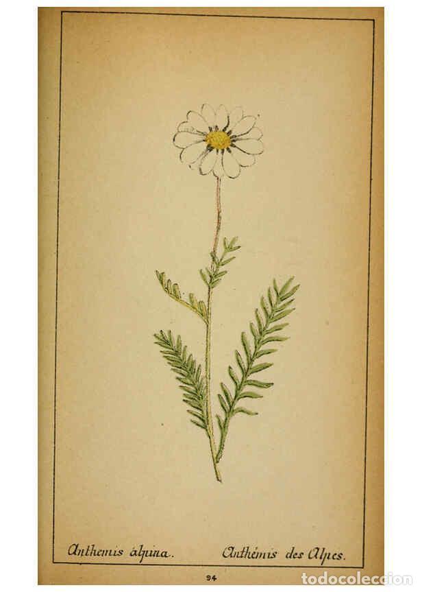 Coleccionismo de Revistas y Peri&oacute;dicos: Reproducci&oacute;n/Reproduction 6032227902: Choix de plantes de l'Europe centrale et particuli&egrave;rement de l