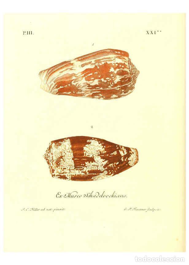 Coleccionismo de Revistas y Peri&oacute;dicos: Reproducci&oacute;n/Reproduction 6031783385: Les delices des yeux et de l'esprit. v.1 ptie 1-3. [Nuremberg