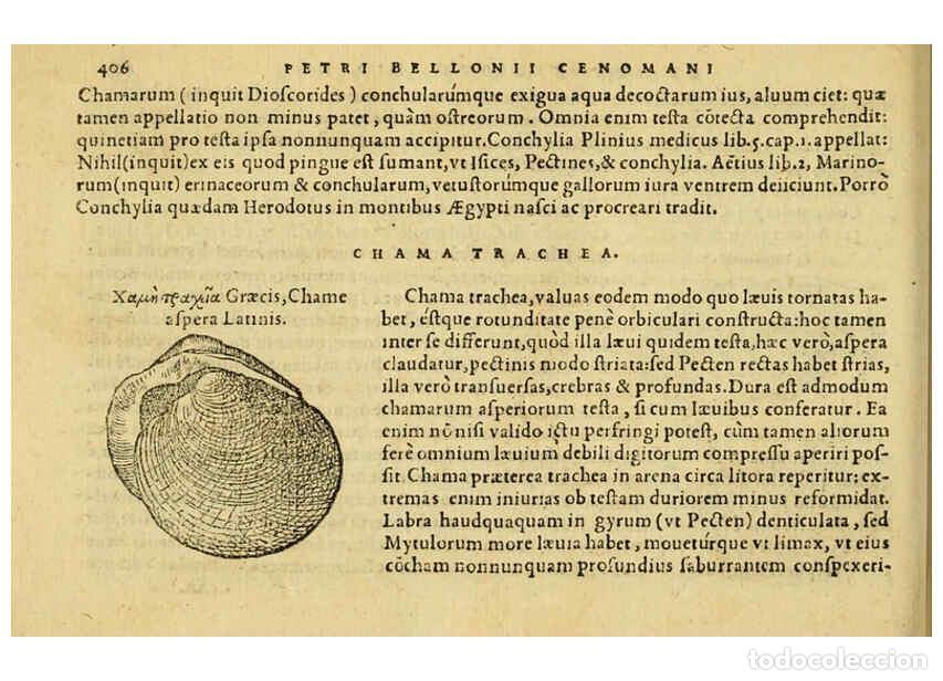Colecionismo de Revistas e Jornais: Reproducci&oacute;n/Reproduction 6418735123: Petri Bellonii Cenomani De aquatilibus, libri duo cum [epsilon
