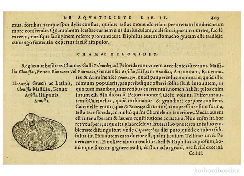 Collezionismo di Riviste e Giornali: Reproducci&oacute;n/Reproduction 6418735441: Petri Bellonii Cenomani De aquatilibus, libri duo cum [epsilon