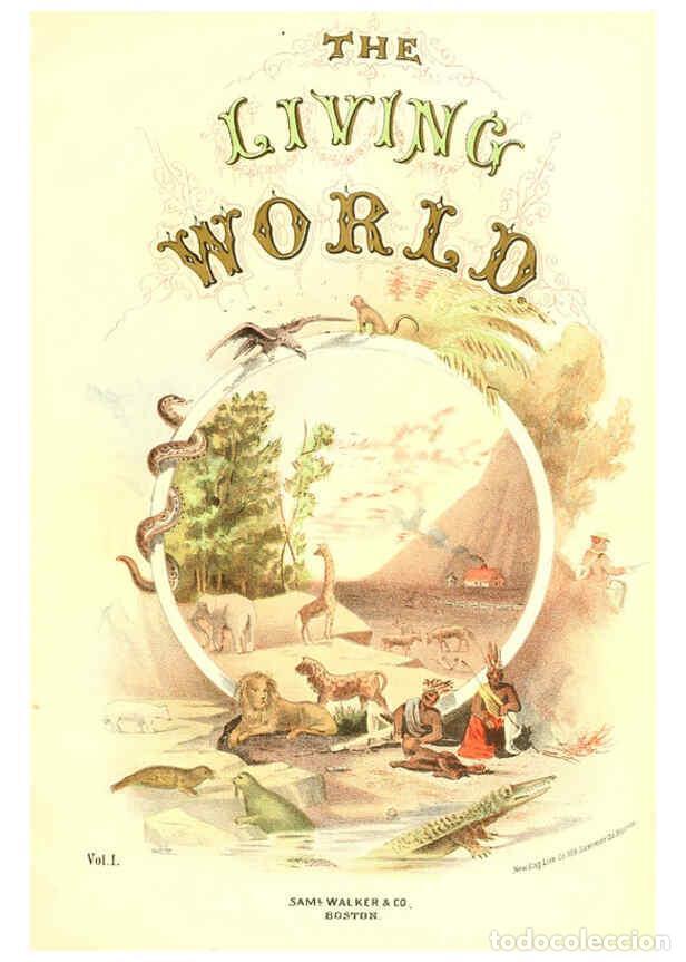 Collezionismo di Riviste e Giornali: Reproducci&oacute;n/Reproduction 6068966751: The living world. v.1. Boston :Samuel Walker & Co.,1868-1870,