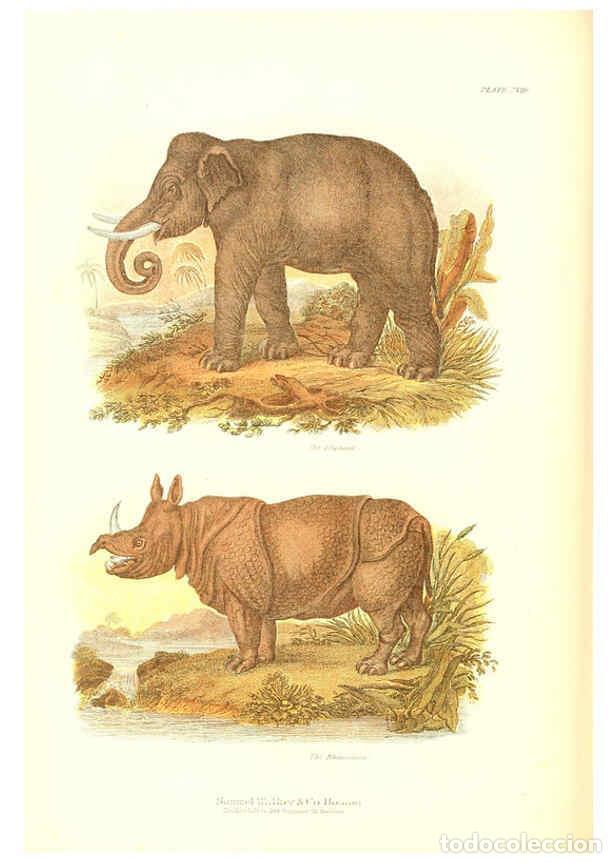 Collezionismo di Riviste e Giornali: Reproducci&oacute;n/Reproduction 6068969459: The living world. v.1. Boston :Samuel Walker & Co.,1868-1870,