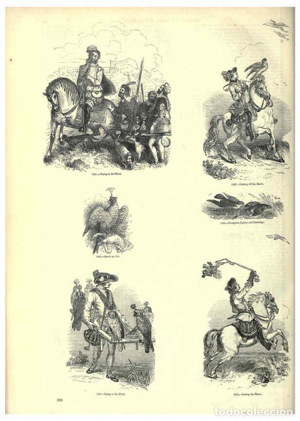 Collectionnisme de Revues et Journaux: Reproducci&oacute;n/Reproduction 6092499681: The pictorial museum of animated nature. v.1. London :C. Cox,[