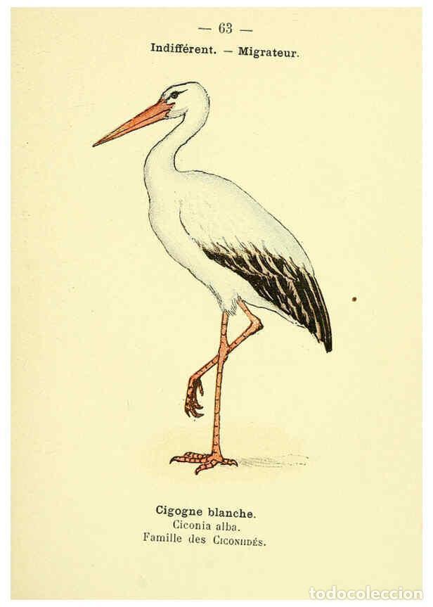 Collectionnisme de Revues et Journaux: Reproducci&oacute;n/Reproduction 6388899427: Atlas de poche des oiseaux de France, Suisse, et Belgique, uti