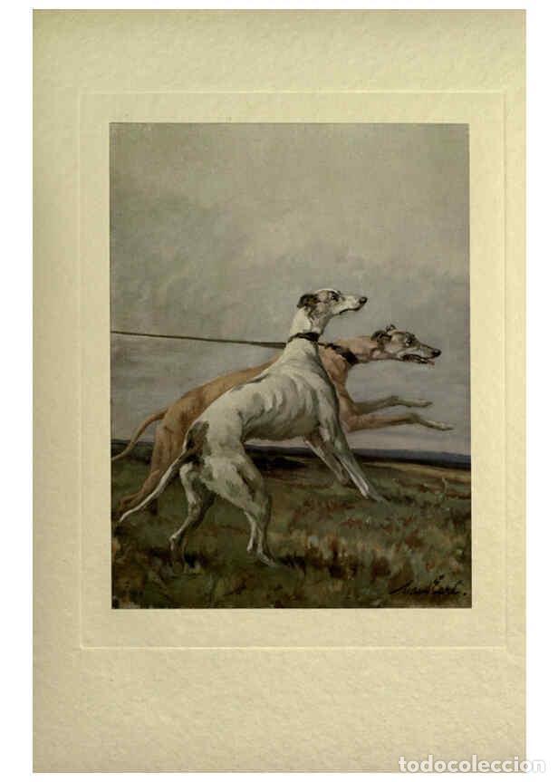 Coleccionismo de Revistas y Peri&oacute;dicos: Reproducci&oacute;n/Reproduction 6073369737: The power of the dog London :Hodder and Stoughton,[1910 or 191