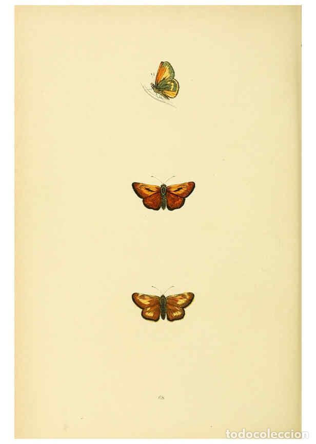 Coleccionismo de Revistas y Peri&oacute;dicos: Reproducci&oacute;n/Reproduction 6073079541: A history of British butterflies London :John C. Nimmo,1890 -