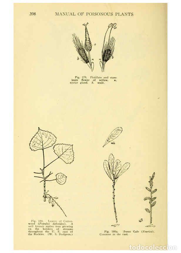 Collectionnisme de Revues et Journaux: Reproducci&oacute;n/Reproduction 6004765363: A manual of poisonous plants Cedar Rapids, Ia. :The Torch Pres