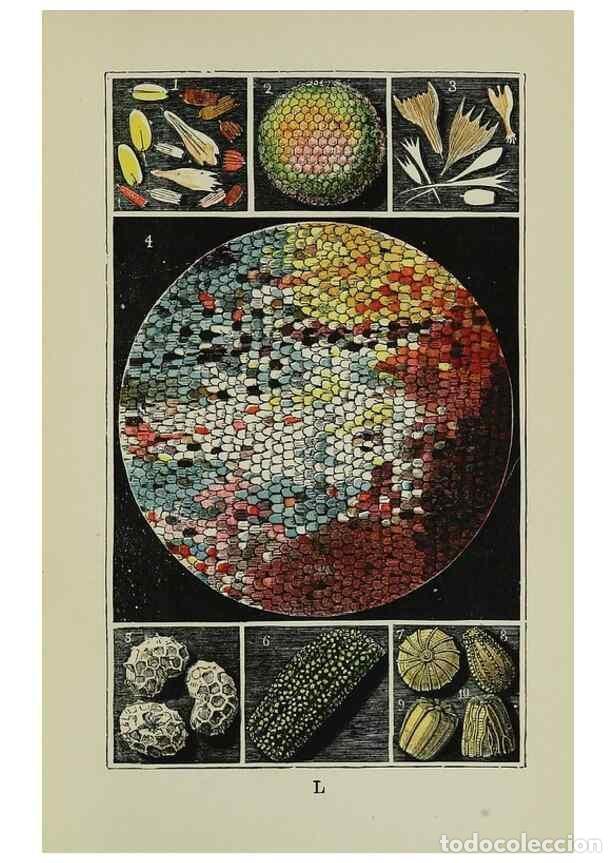 Collectionnisme de Revues et Journaux: Reproducci&oacute;n/Reproduction 7180008607: The common objects of the country /. London :George Routledge